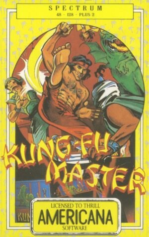 Kung Fu Master (ZX Spectrum)