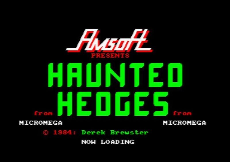 Haunted Hedges (ZX Spectrum) image 2